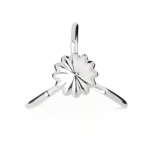 ALESSI - Presse-agrumes Juicy Salif métal